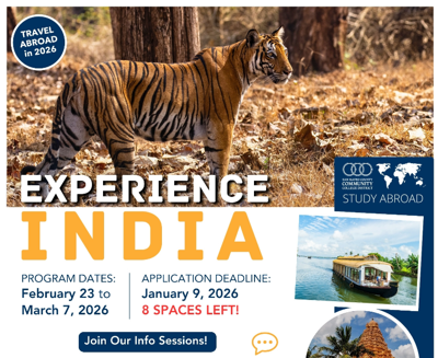 Tiger Safari in India