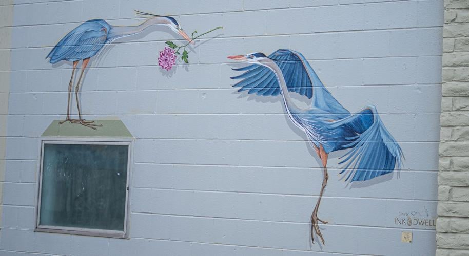 Murals-15.jpg