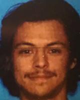 Man killed by rangers on Big Sur trail had shot at hikers