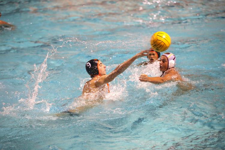 Woodside polo: Will Stevenson
