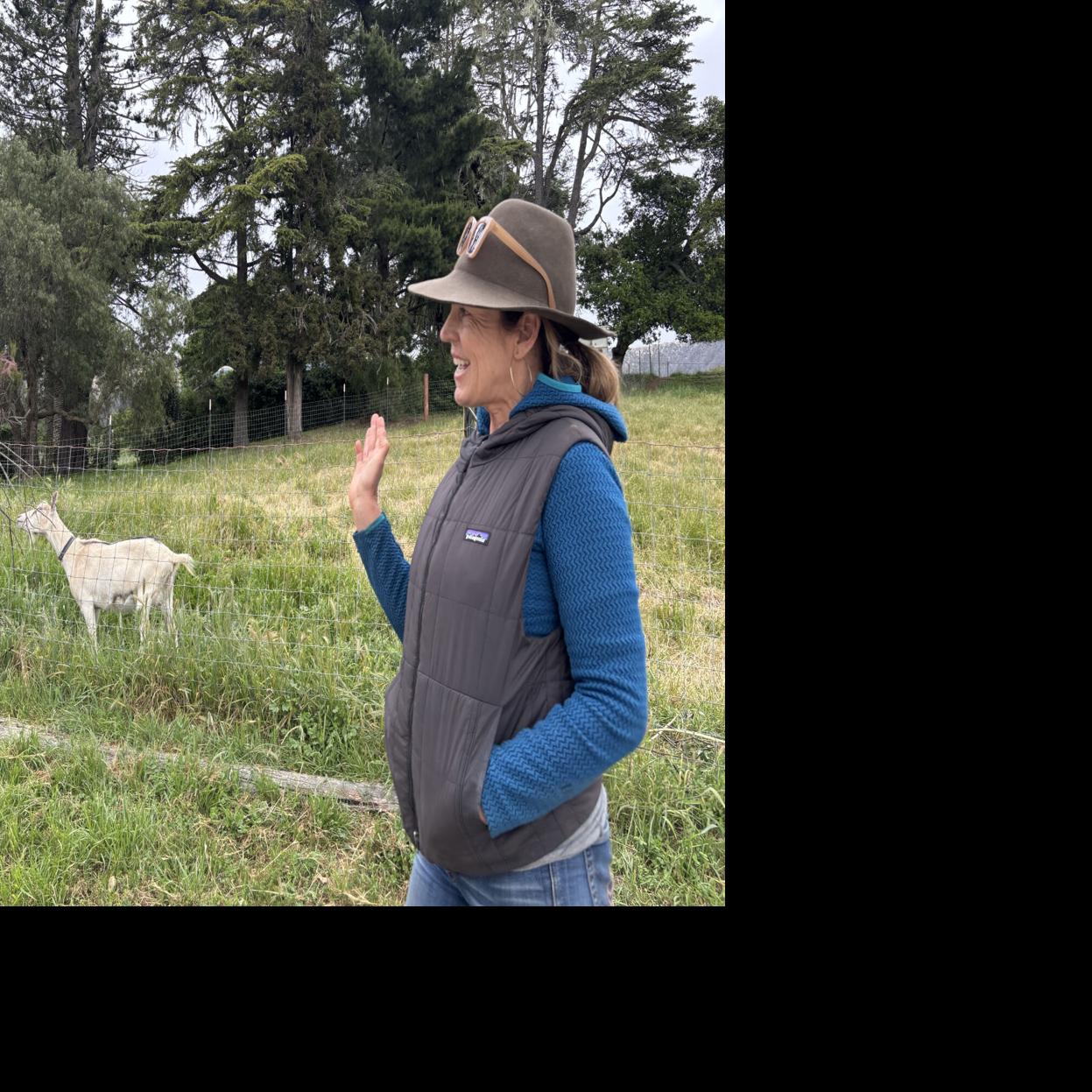 smdailyjournal com The Peninsula s Home Page