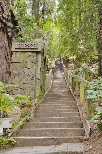 Dipsea Trail Run