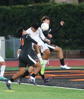 El Camino continues to roll