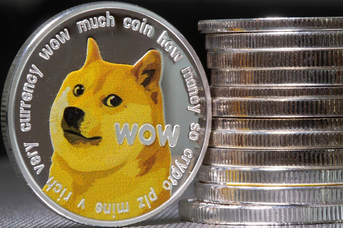 Bull doge! Dogecoin soars as Trump announces a government efficiency group  nicknamed DOGE | National | smdailyjournal.com