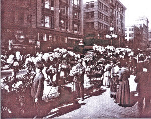 The San Francisco flower market