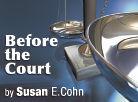 Before the Courts generic logo