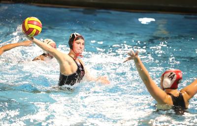 SHP polo: Lauren Rossi