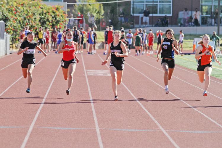 Sequoia track