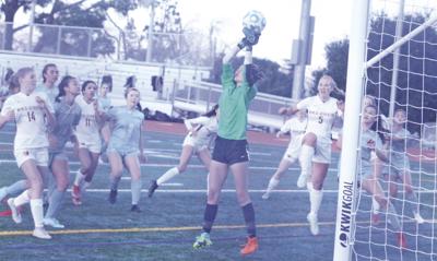 Hillsdale girls' soccer: Woo