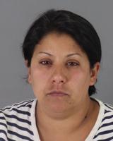 Former San Bruno PTA treasurer arrested for embezzlement