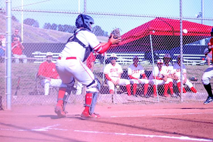 San Mateo El Camino baseball 1