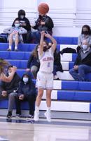 Hillsdale girls' basketball in fine form