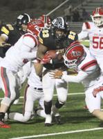 Tigers hold off Panthers