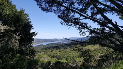 Fifield-Cahill Ridge Trail