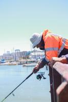 ‘Forever chemicals’ found in San Francisco Bay fish