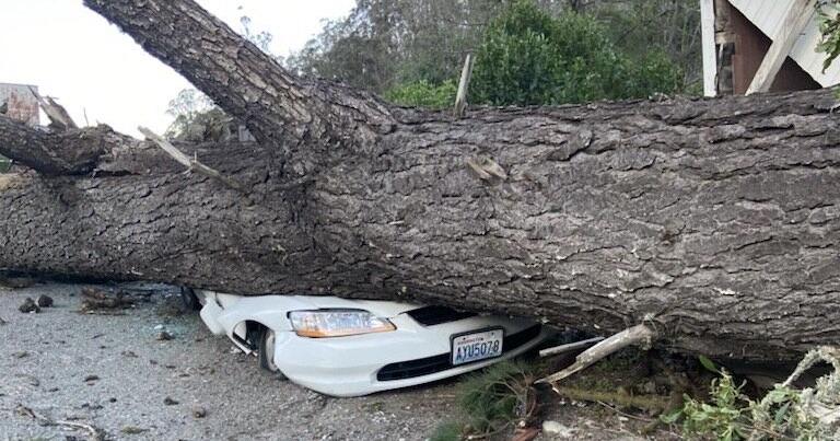High winds cause power outages across Bay Area | Local News ...