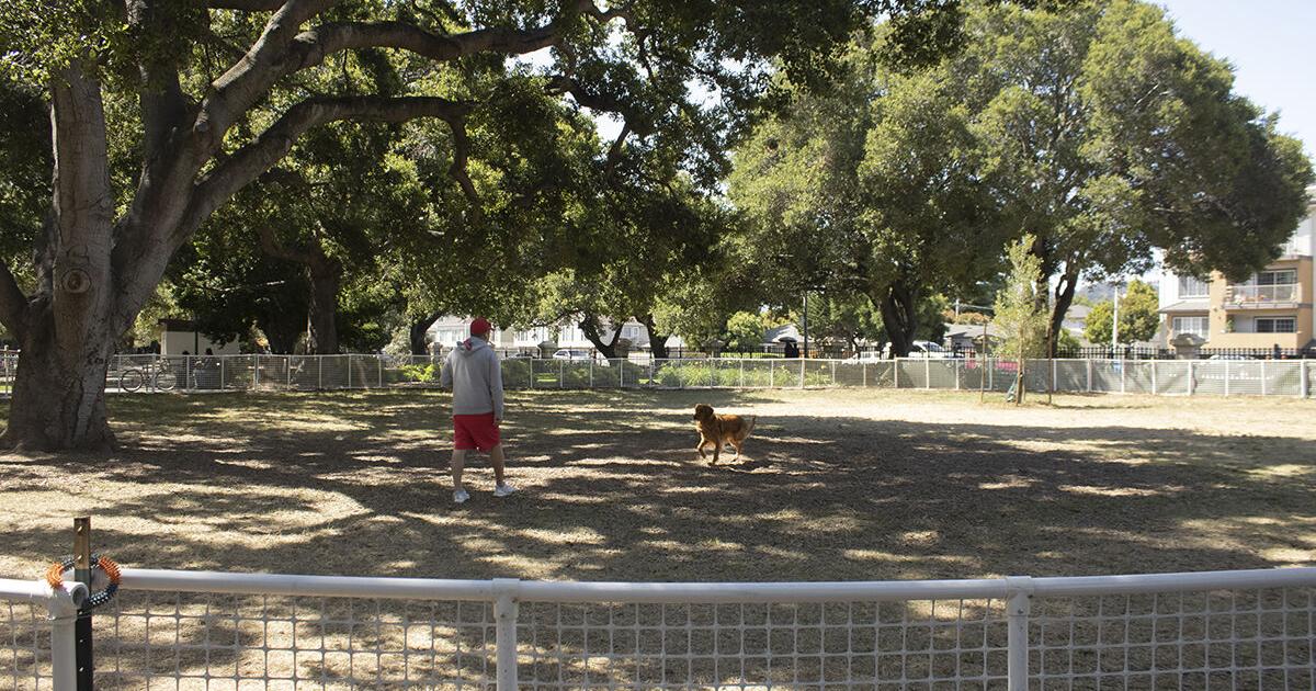 Off-leash trial is going well in San Mateo - Vimarsana News