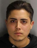 California man accused of killing dog that peed on yard