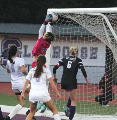 Hillsdale soccer: Paige Flor0