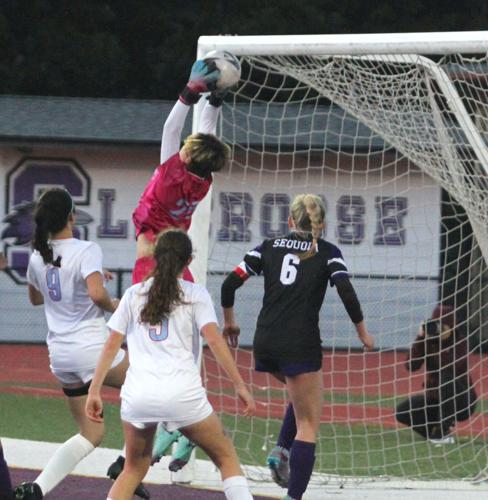 Hillsdale soccer: Paige Flor0