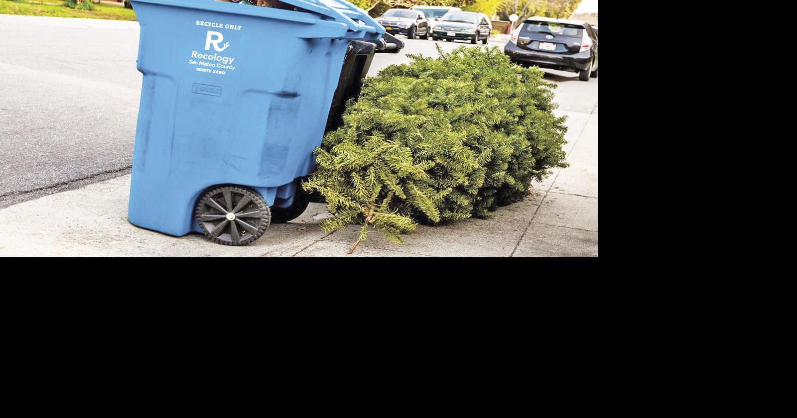 Christmas tree pickup begins Jan 2 in San Mateo County Local News