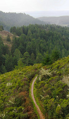 Coastal land
