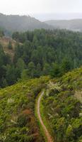 Property transfer improves hiking trails, coastal access