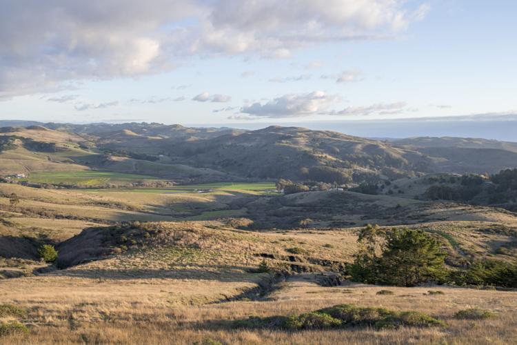 Gordon Ridge & Rising Acres - Teddy Miller 2019.jpg