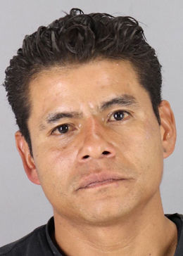 Mario Mateo