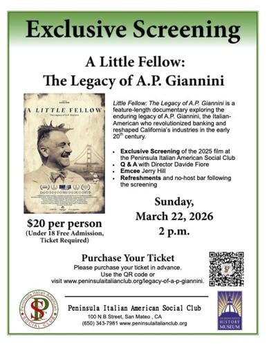 A Little Fellow Flyer 02-03-2026