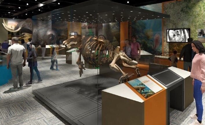 Natural history