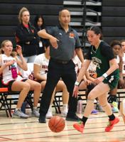 Cooler heads prevail in CCS seeding meeting