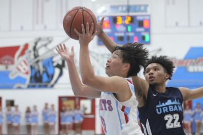 Hillsdale basketball-Chan