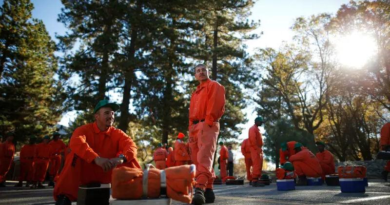 US prisoners are being assigned dangerous jobs. But what happens if they are hurt or killed? - Vimarsana News