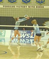 Hillsdale volleyball falls in finals