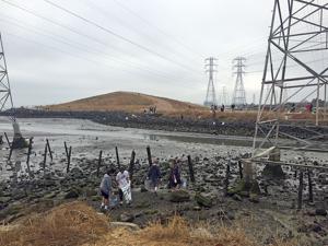 Cleaning up the coast