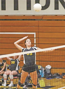 Athlete of the Week: Terra Nova's Ali Vidali