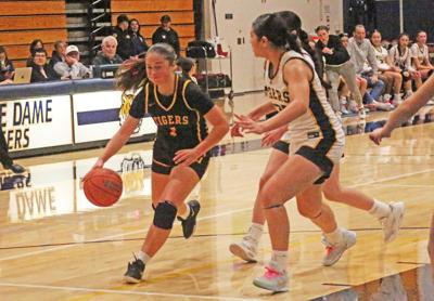 Terra Nova hoops: Gabby Yogi