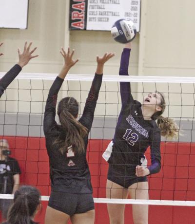 Sequoia volleyball: Olson