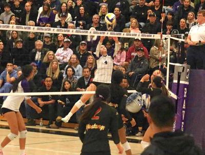 Sequoia volleyball: Kiera Winters