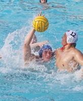 Hillsdale boys' water polo earns big win over Woodside