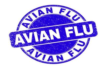 Avian flu logo