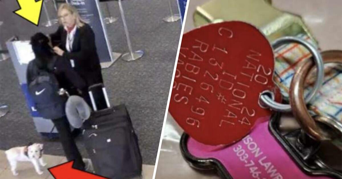 Woman drowns her dog in an airport bathroom after being denied boarding ...