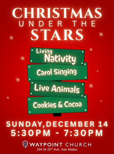 Christmas Under the Stars