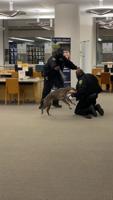 Dog attacks security guard inside San Francisco library