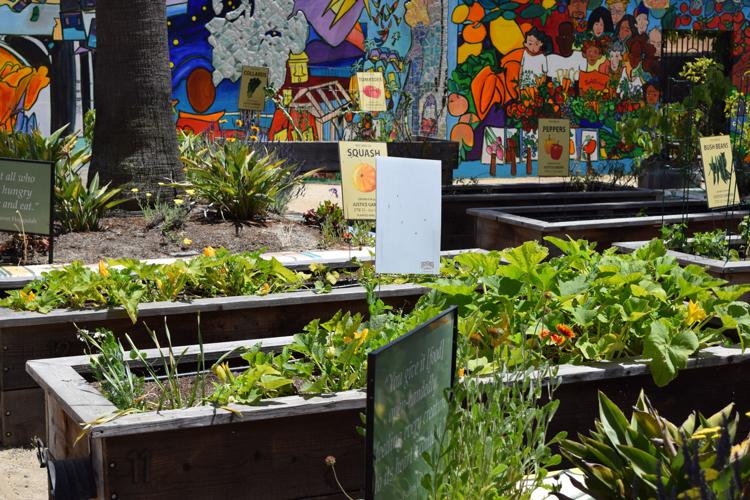 Peninsula Jewish Community Center pjcc