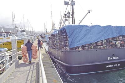 Crab pots