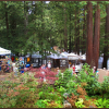 Kings Mountain Art Fair
