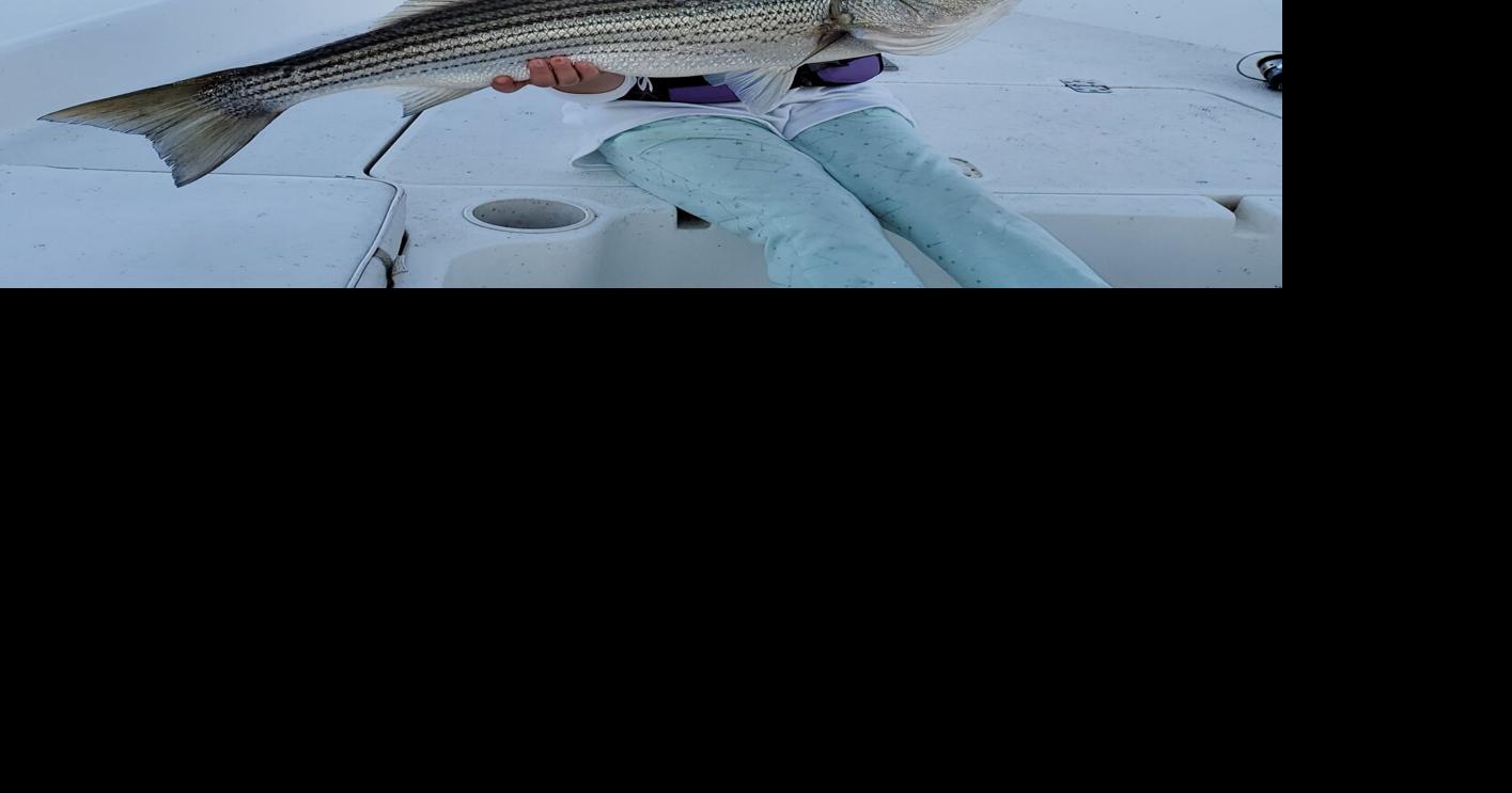 Nice catch
