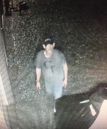 Moneta larcenies suspect